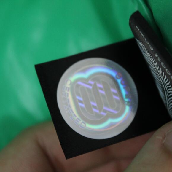 Aritzia Super Puff Jacket Womens XS Shorty Liquid Shine Hooded Puffer Goose Down - Picture 10 of 16